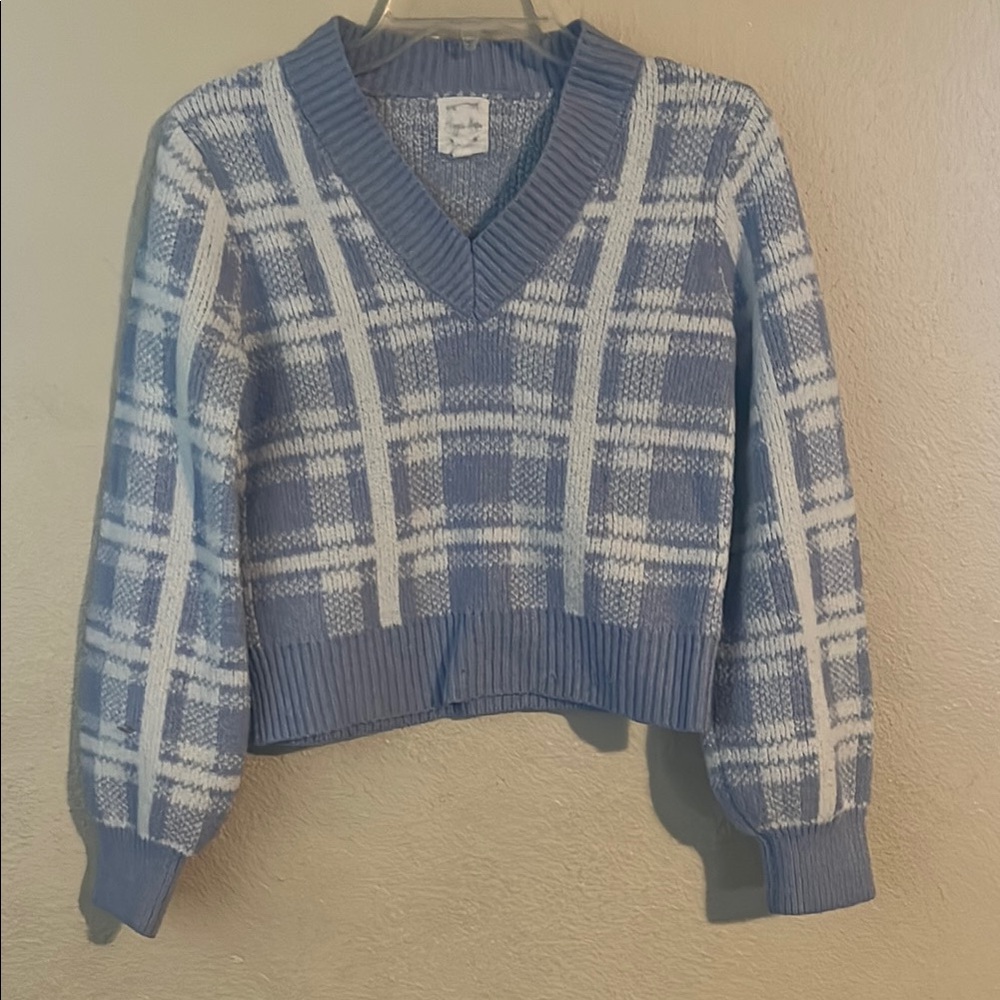 Women’s Small Hippie Rose Blue and White Plaid V-Neck Sweater